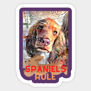 Spaniels Rule Sticker